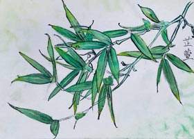 ~棩-P-2022116ա＾c(din)Է-W(xu)Ʒ
